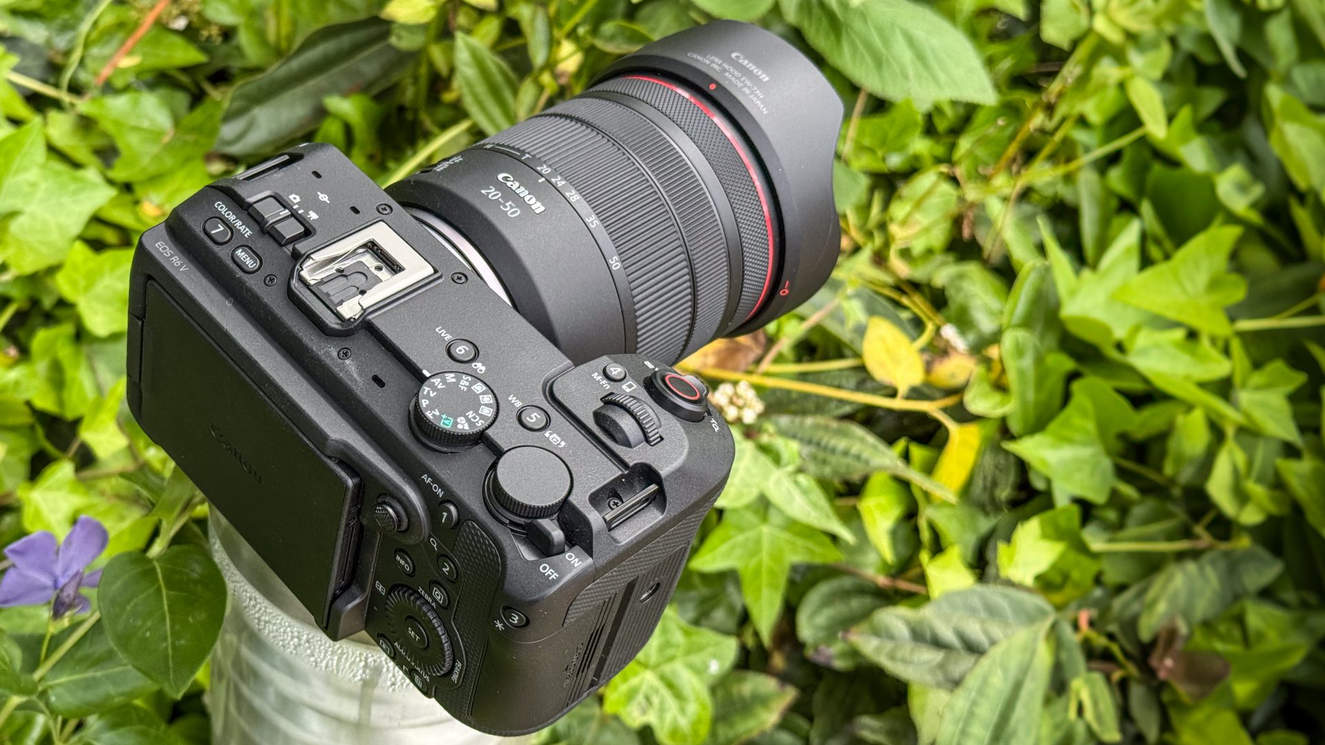 Обзор Canon EOS R6 V - Canon просто пошла по пути Apple картинка Камера Canon EOS R6 V получила 7K Open Gate | DGL.RU