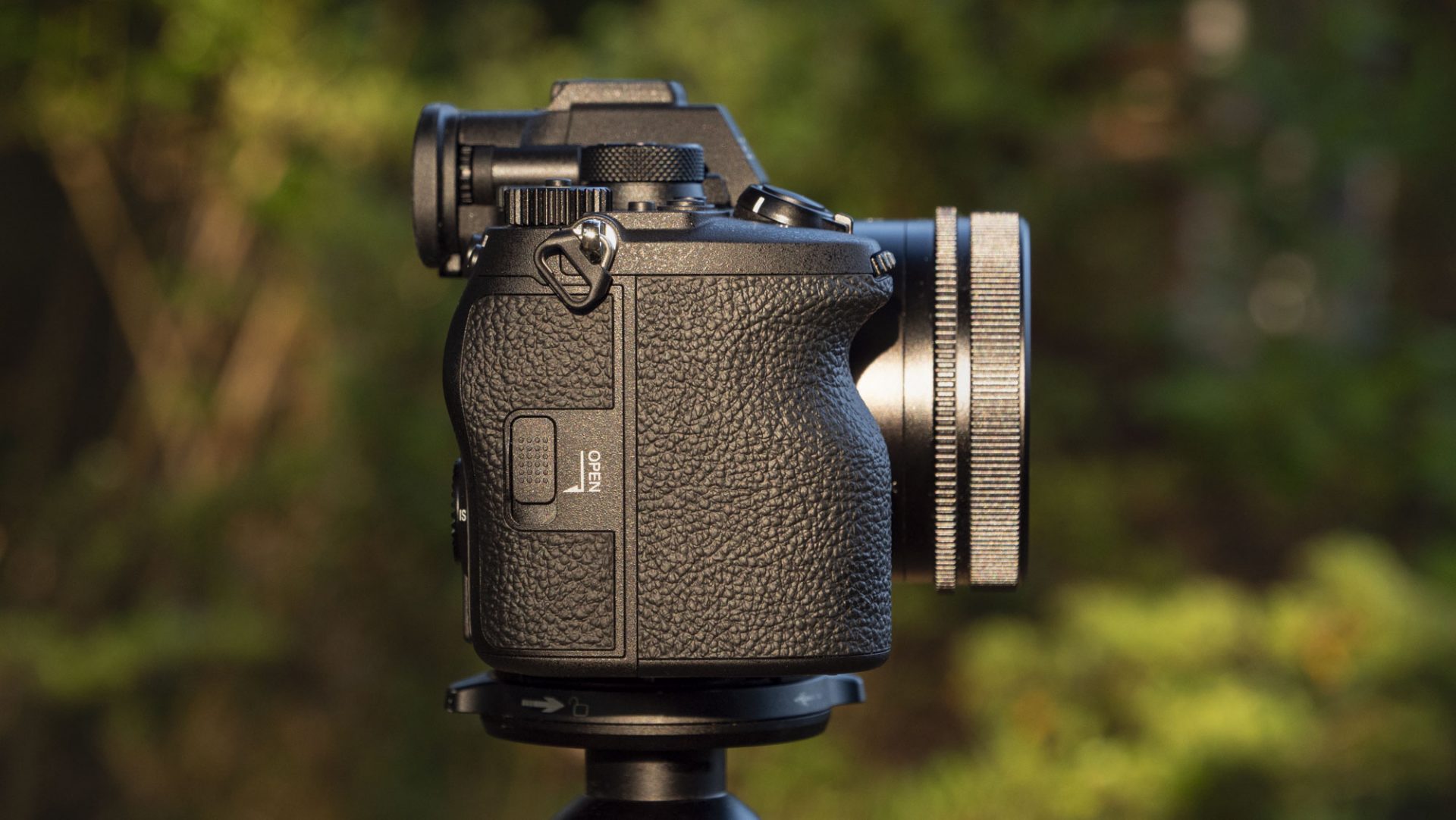 Камера Sony A7R VI стала идеалом для фото | DGL.RU
