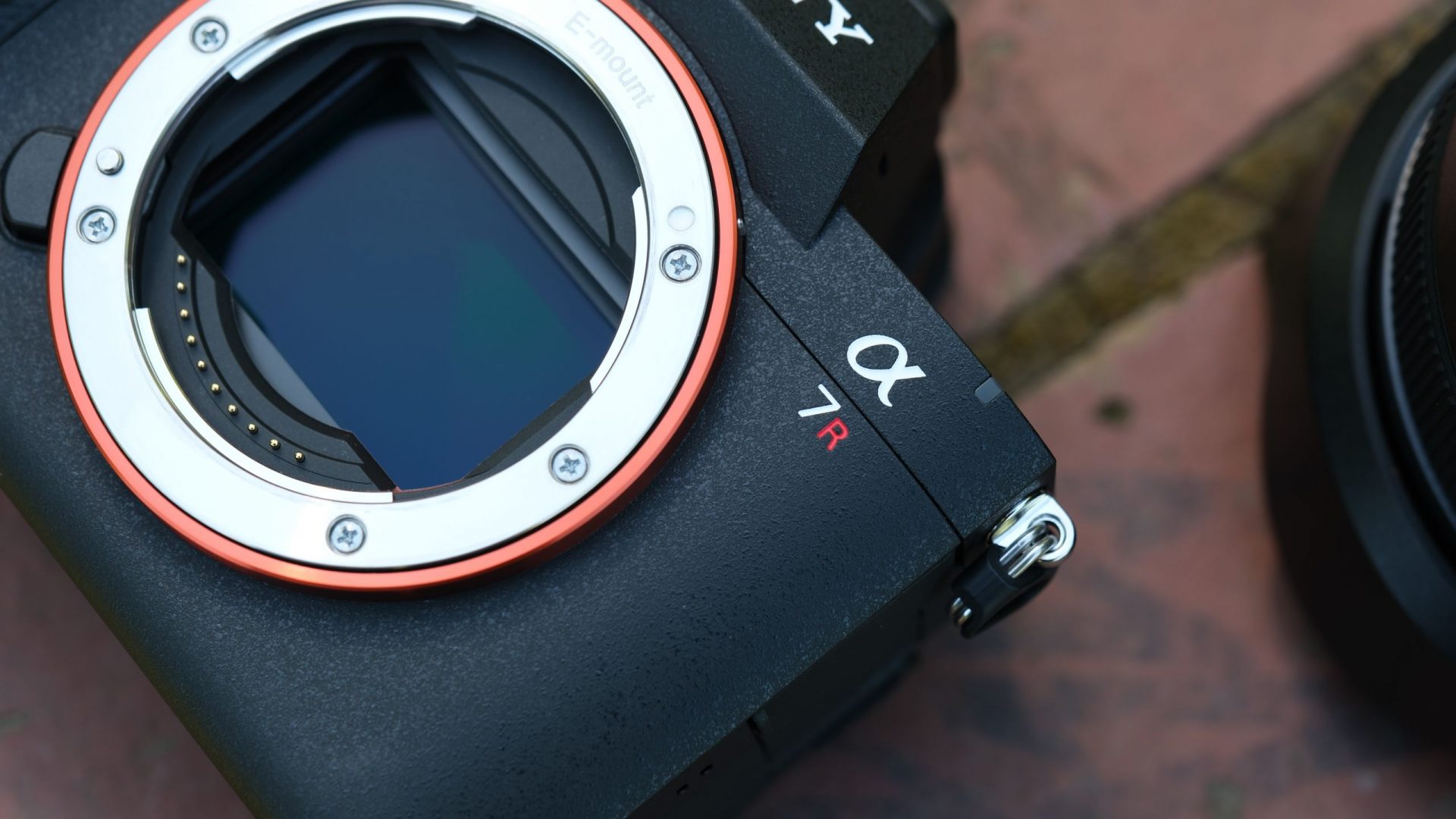 Обзор Sony A7R VI - она идеальна, Sony можно прекращать производство фотоаппаратов картинка Камера Sony A7R VI стала идеалом для фото | DGL.RU