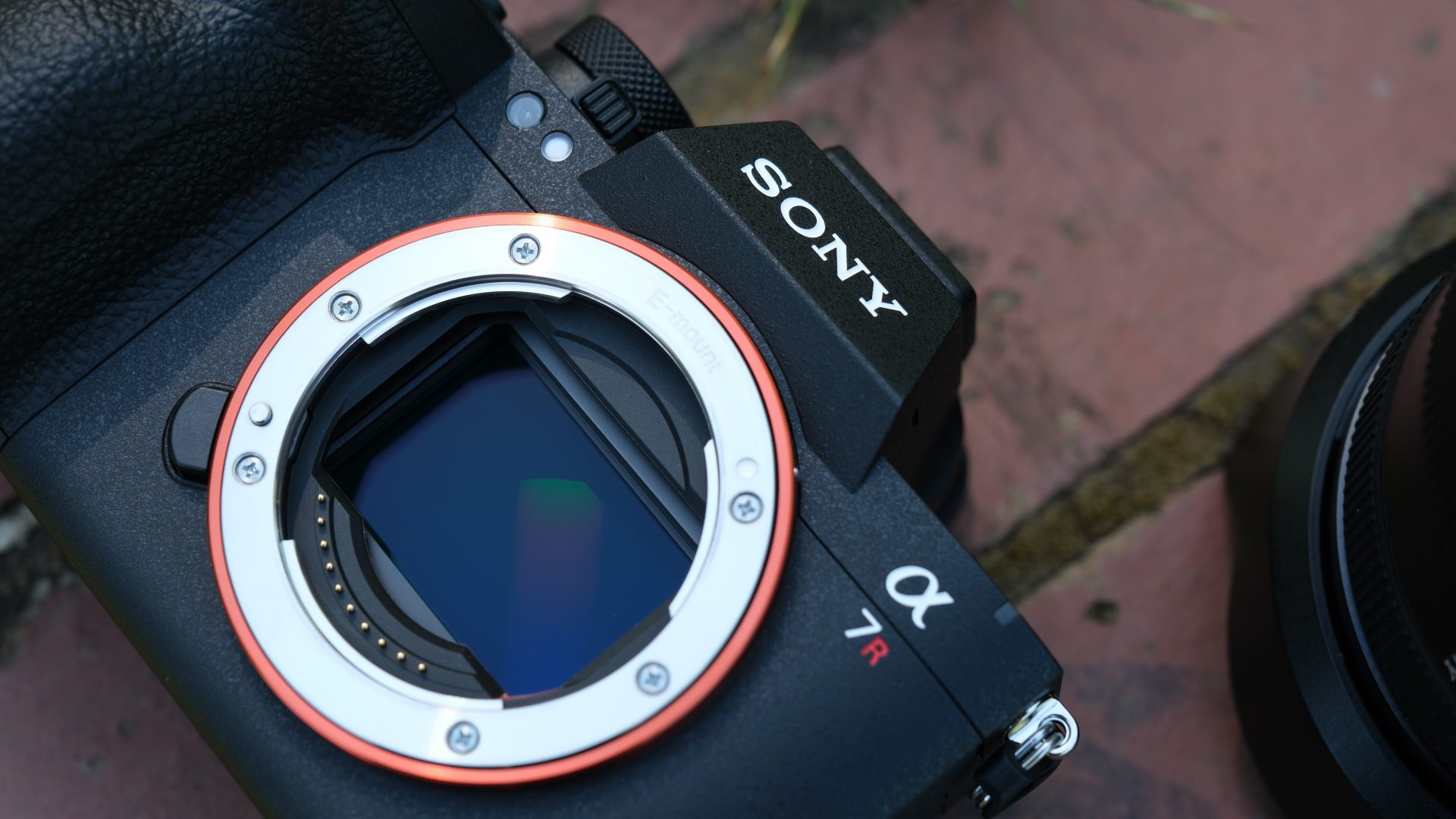 Обзор Sony A7R VI - она идеальна, Sony можно прекращать производство фотоаппаратов картинка Камера Sony A7R VI стала идеалом для фото | DGL.RU