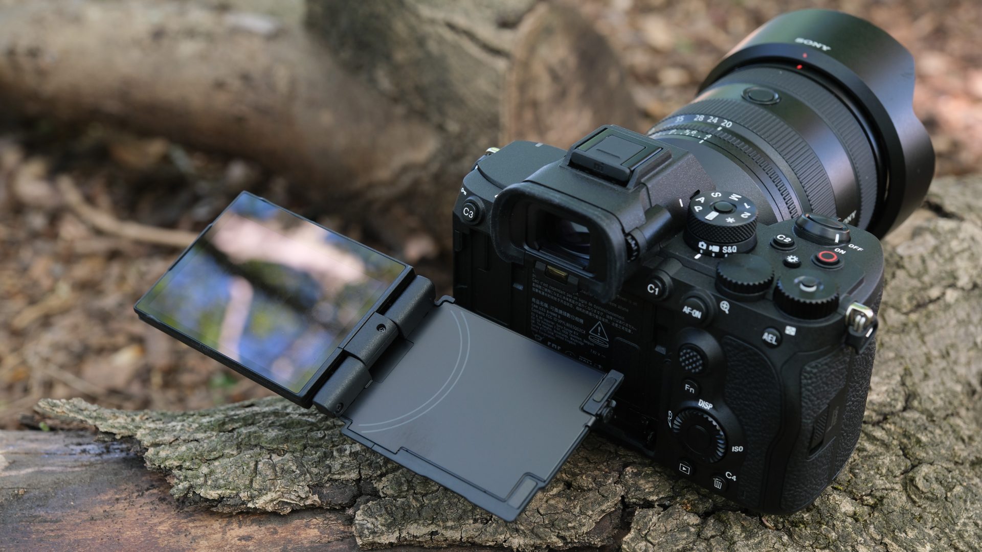 Обзор Sony A7R VI - она идеальна, Sony можно прекращать производство фотоаппаратов картинка Камера Sony A7R VI стала идеалом для фото | DGL.RU