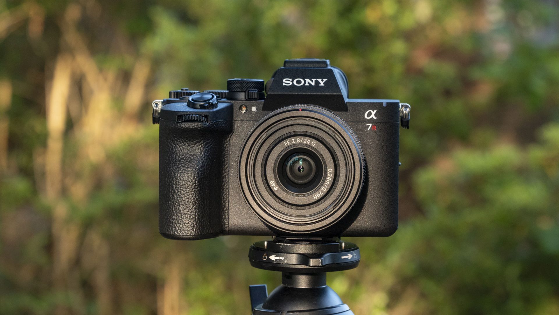 Камера Sony A7R VI стала идеалом для фото | DGL.RU