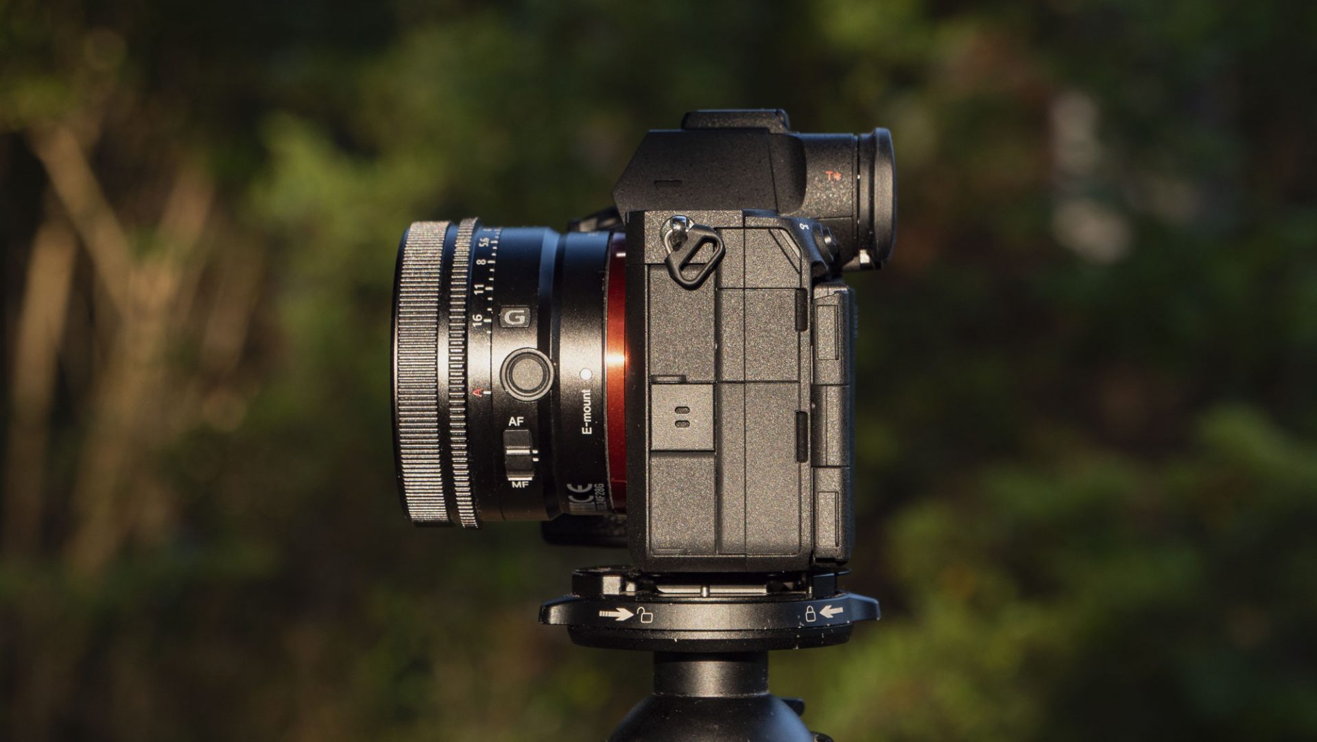 Камера Sony A7R VI стала идеалом для фото | DGL.RU