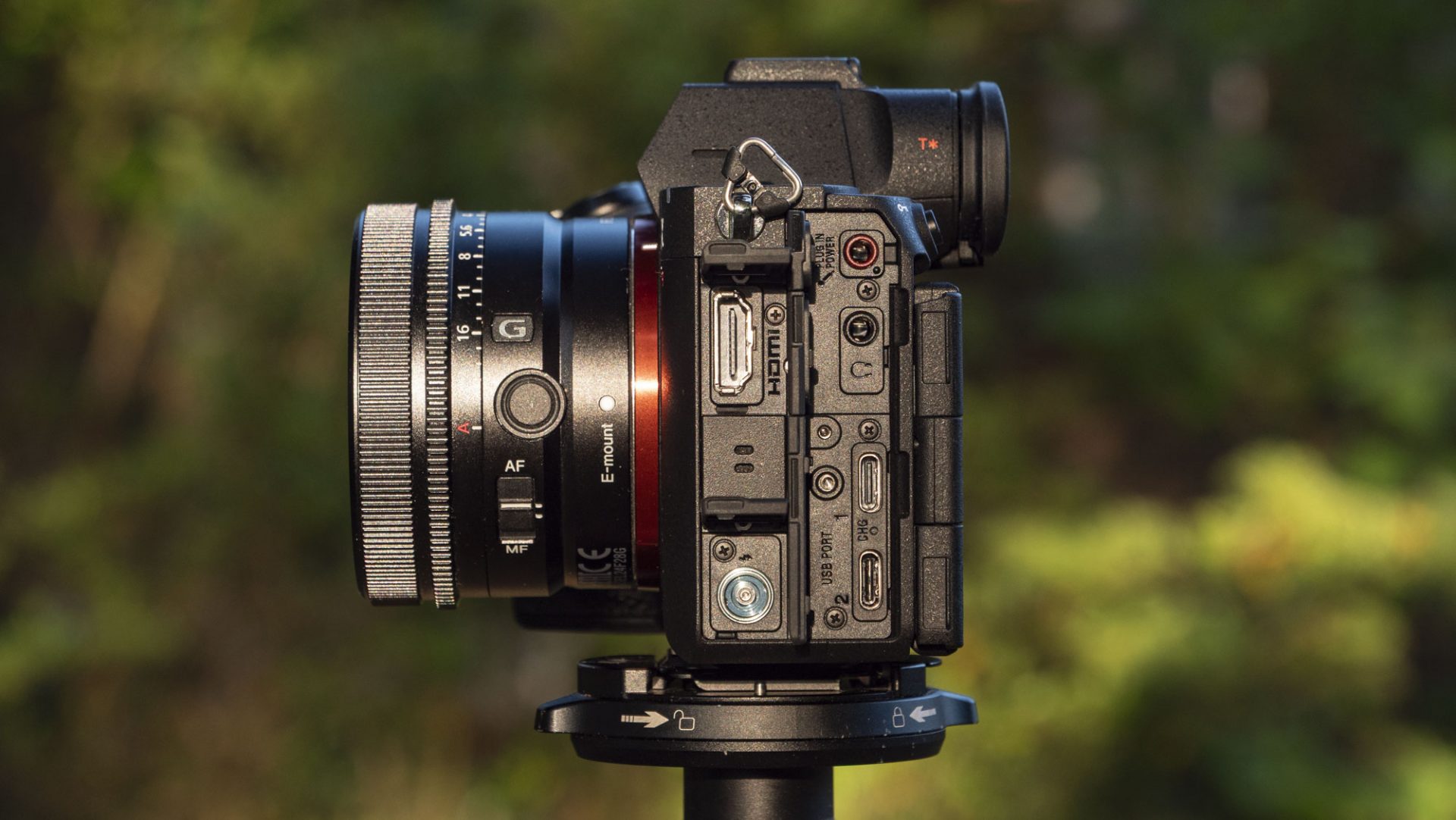 Камера Sony A7R VI стала идеалом для фото | DGL.RU