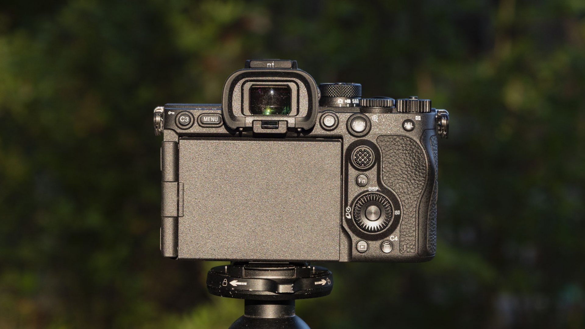 Камера Sony A7R VI стала идеалом для фото | DGL.RU