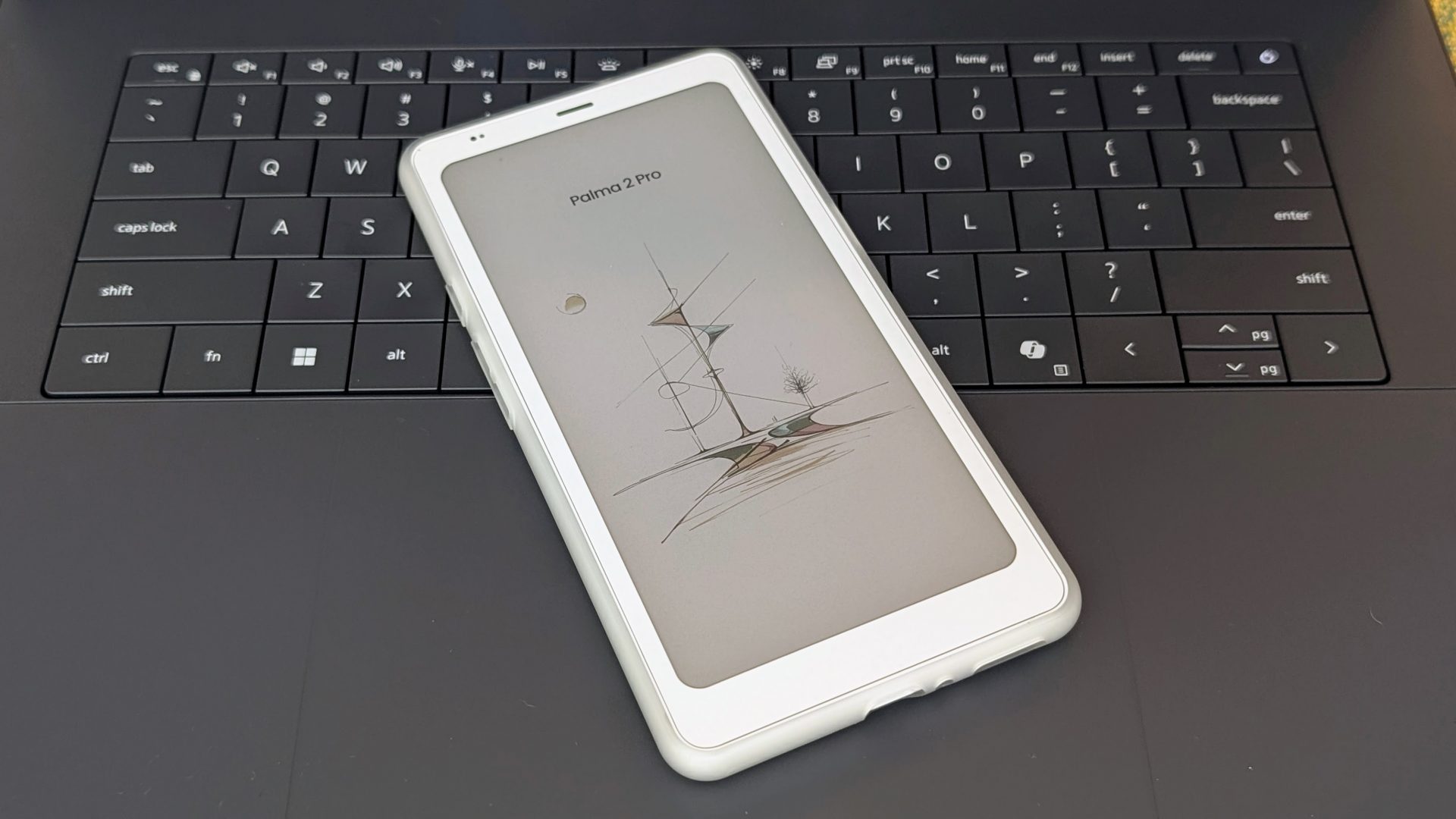 Ридер Onyx Boox Palma 2 Pro с SIM | DGL.RU