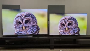 OLED-скандал: калибровщик сравнил новинки LG и нашел подвох в цене и качестве
