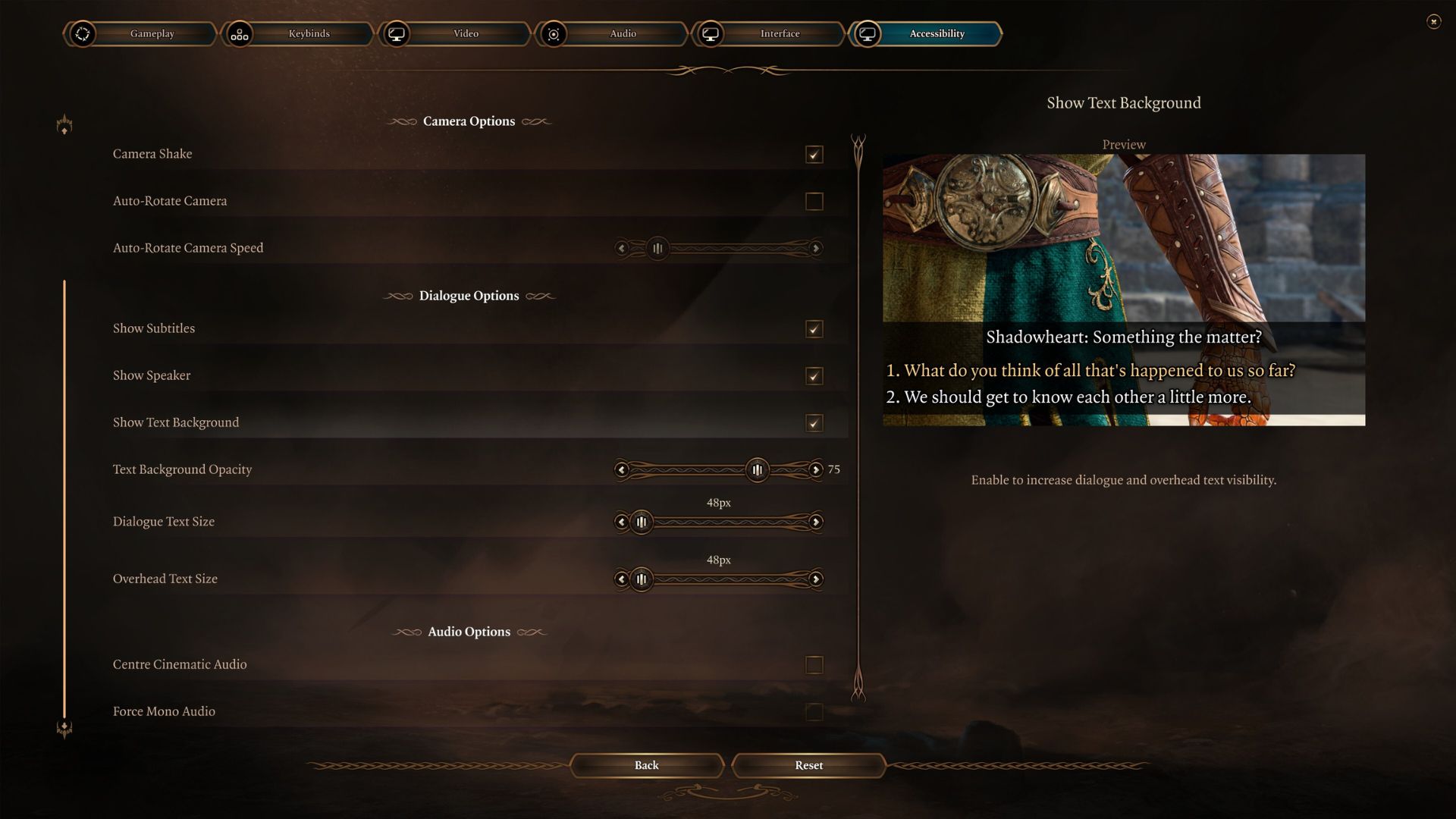 Baldur's Gate 3