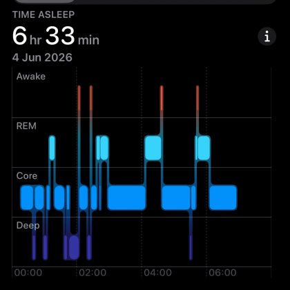 Google Fitbit Air