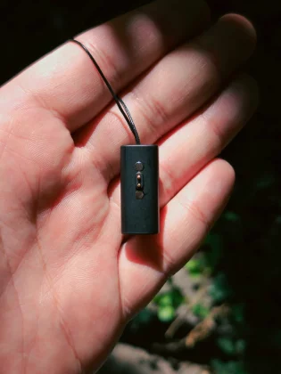 Pebble Time 2