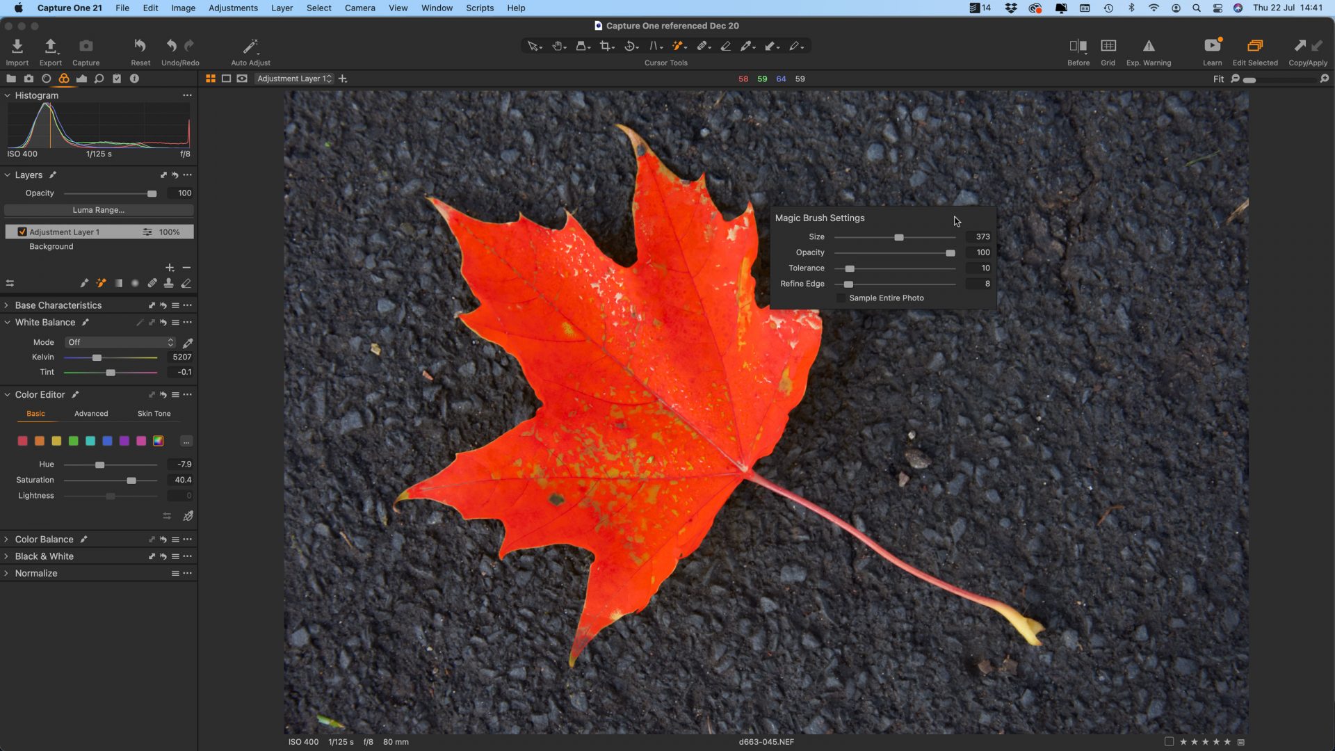 Лучшие альтернативы Photoshop 2026 | DGL.RU