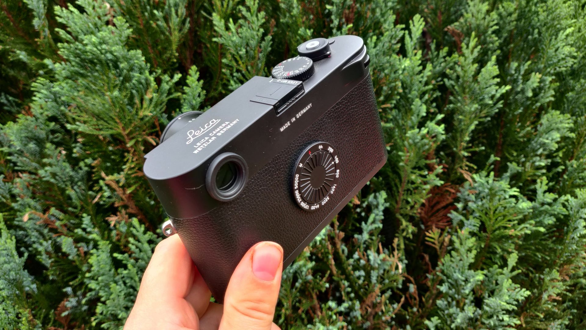 Лучшие дальномерные фотоаппараты в 2026 году | DGL.RU