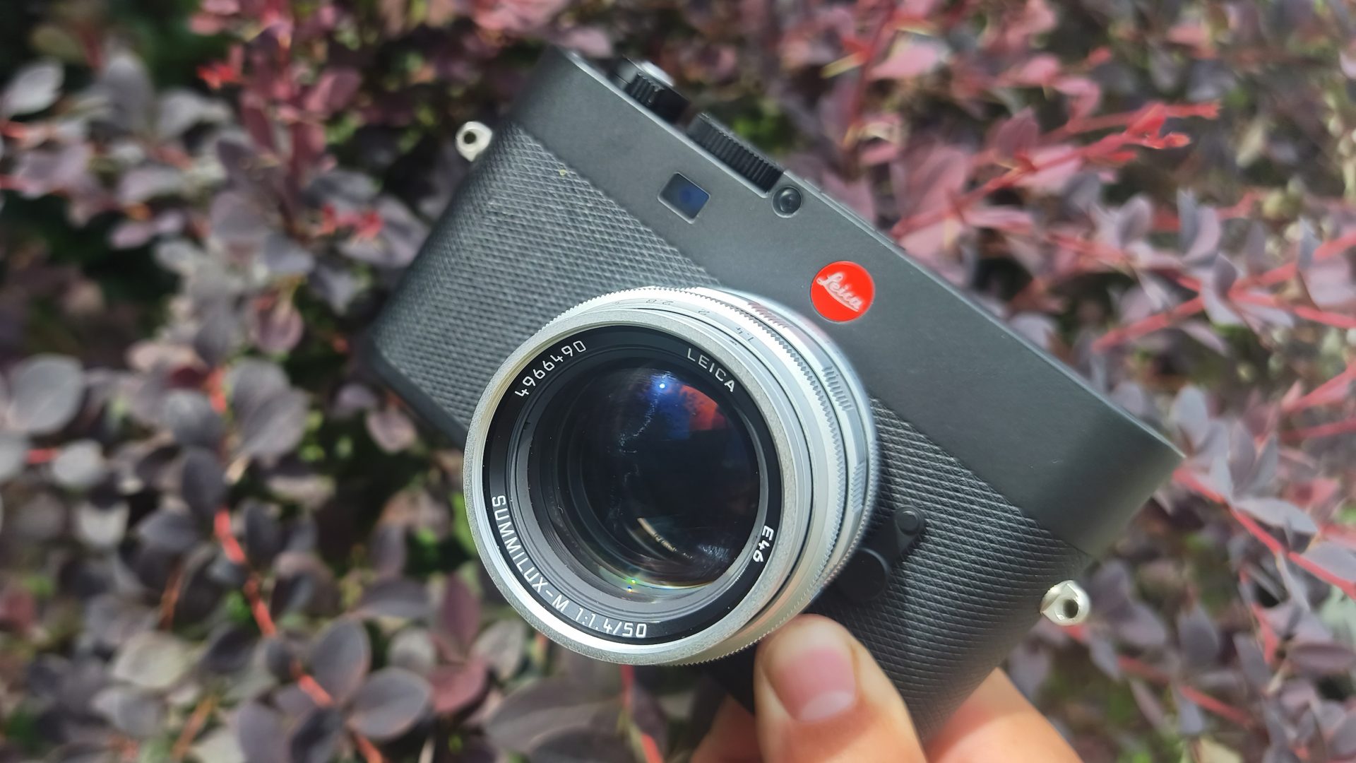Лучшие камеры Leica в 2026 году: от классических дальномеров до беззеркальных систем