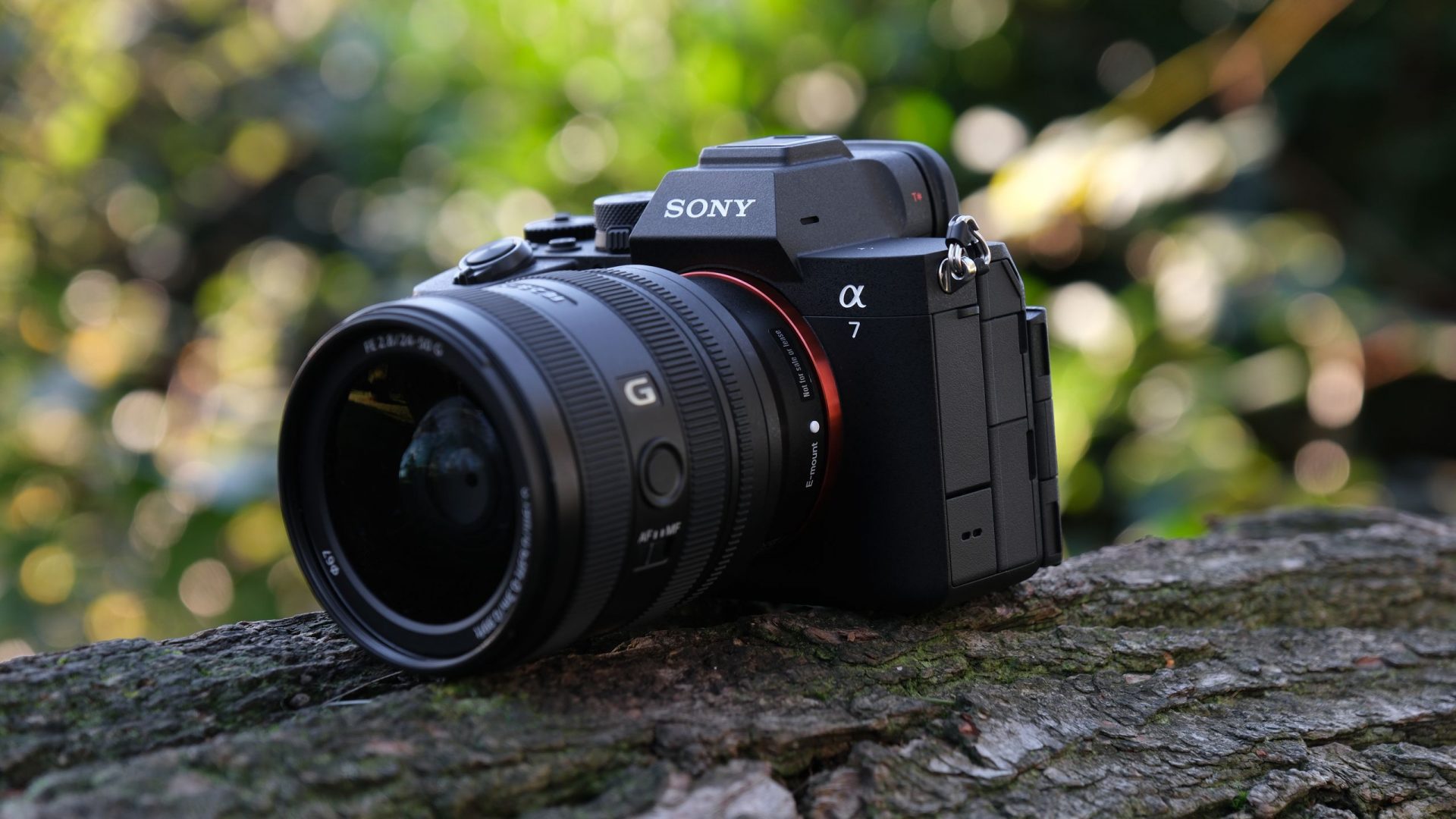 Лучшие объективы для Sony A7 V: выбираем качественную оптику под любые задачи
