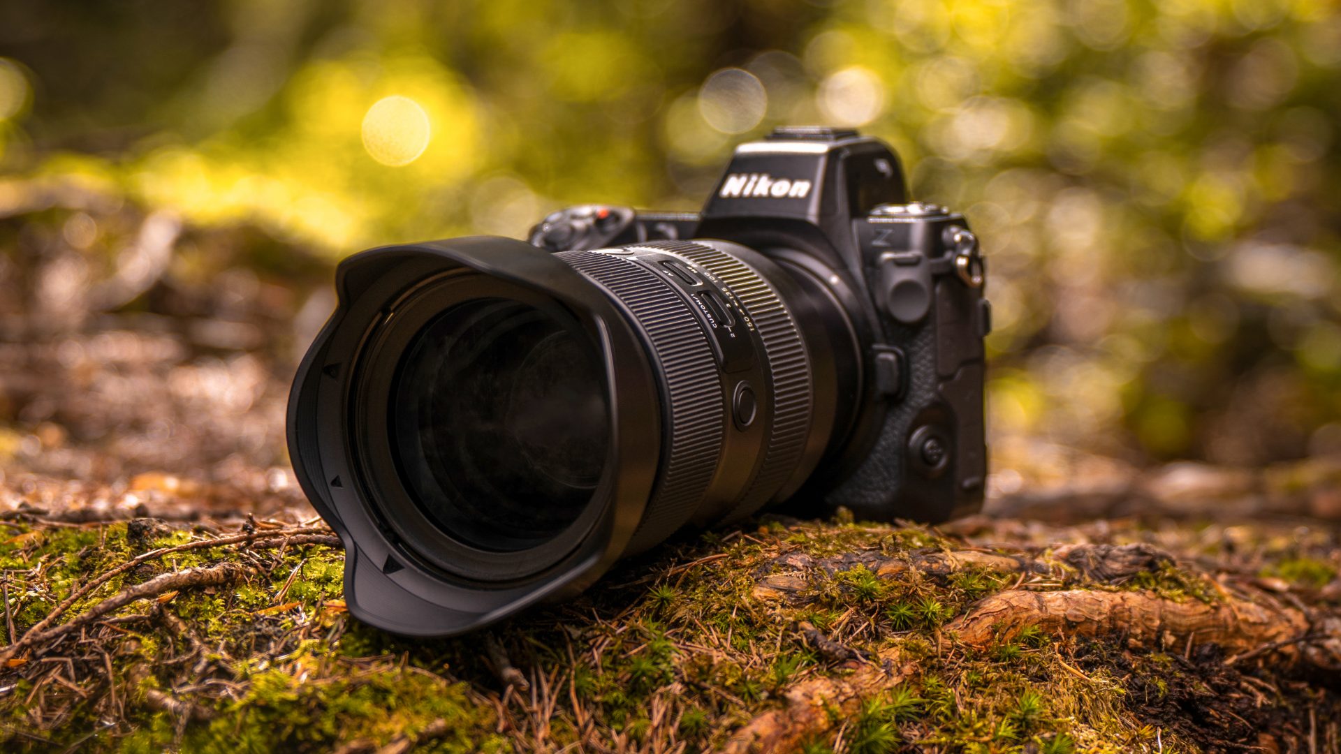 Лучшие суперзум-объективы для камер Nikon в 2026 году картинка Лучшие суперзум-объективы для камер Nikon | DGL.RU