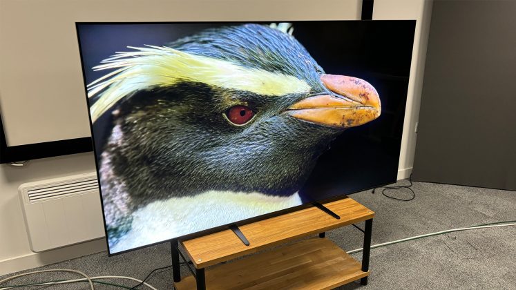 Телевизор Mini LED 2026: лучшие модели | DGL.RU