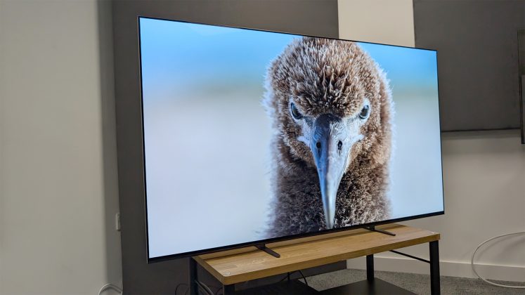 Телевизор Sony Bravia 8 II и лучший выбор 2026 | DGL.RU