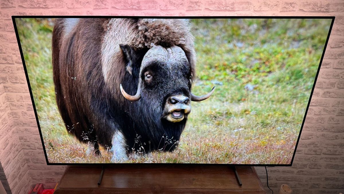 Лучшие OLED-телевизоры 2026 года: 5 моделей для настоящих киноманов картинка Телевизор Sony Bravia 8 II и выбор 2026 | DGL.RU