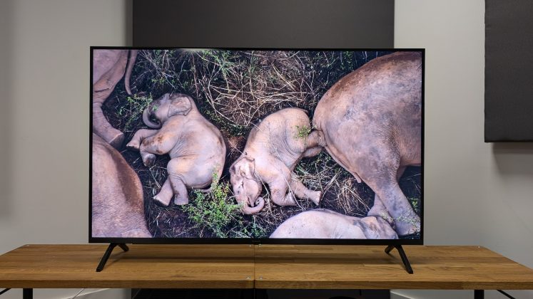 Телевизоры Panasonic: лучшие модели 2026 | DGL.RU