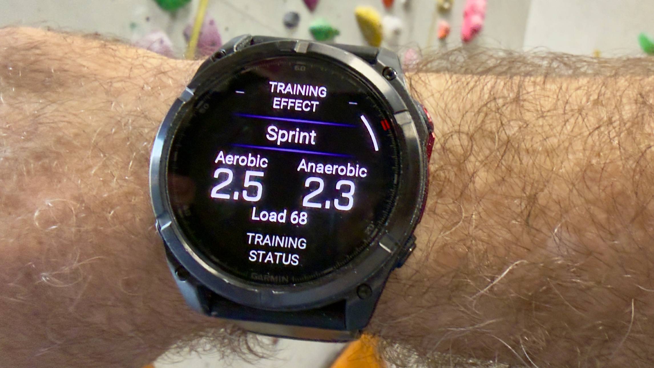 Часы Garmin Fenix 8 Pro microLED: обзор | DGL.RU