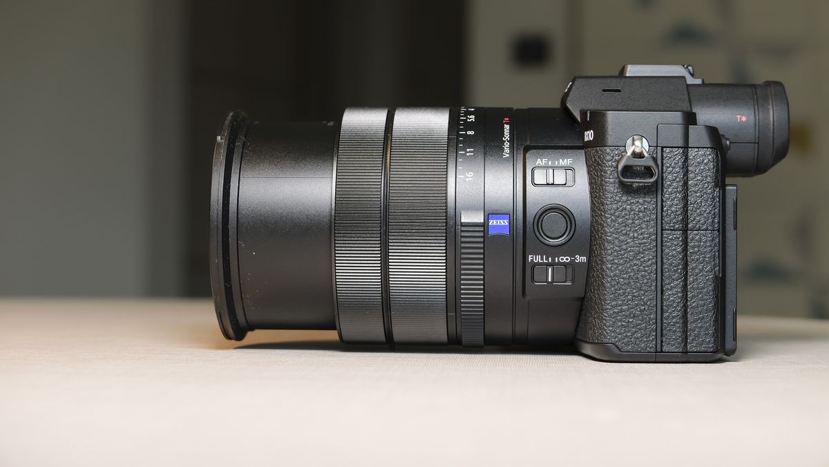 Обзор Sony Cyber-shot RX10 V - неожиданно популярная суперзум-камера картинка Камера Sony RX10 V: тест камеры для фото птиц | DGL.RU