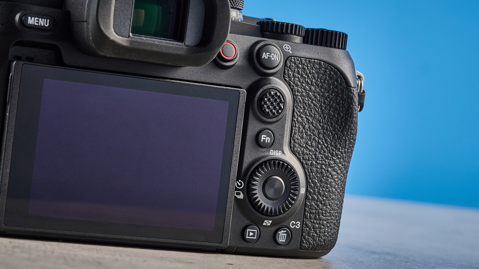 Камера Sony RX10 V: тест камеры для фото птиц | DGL.RU