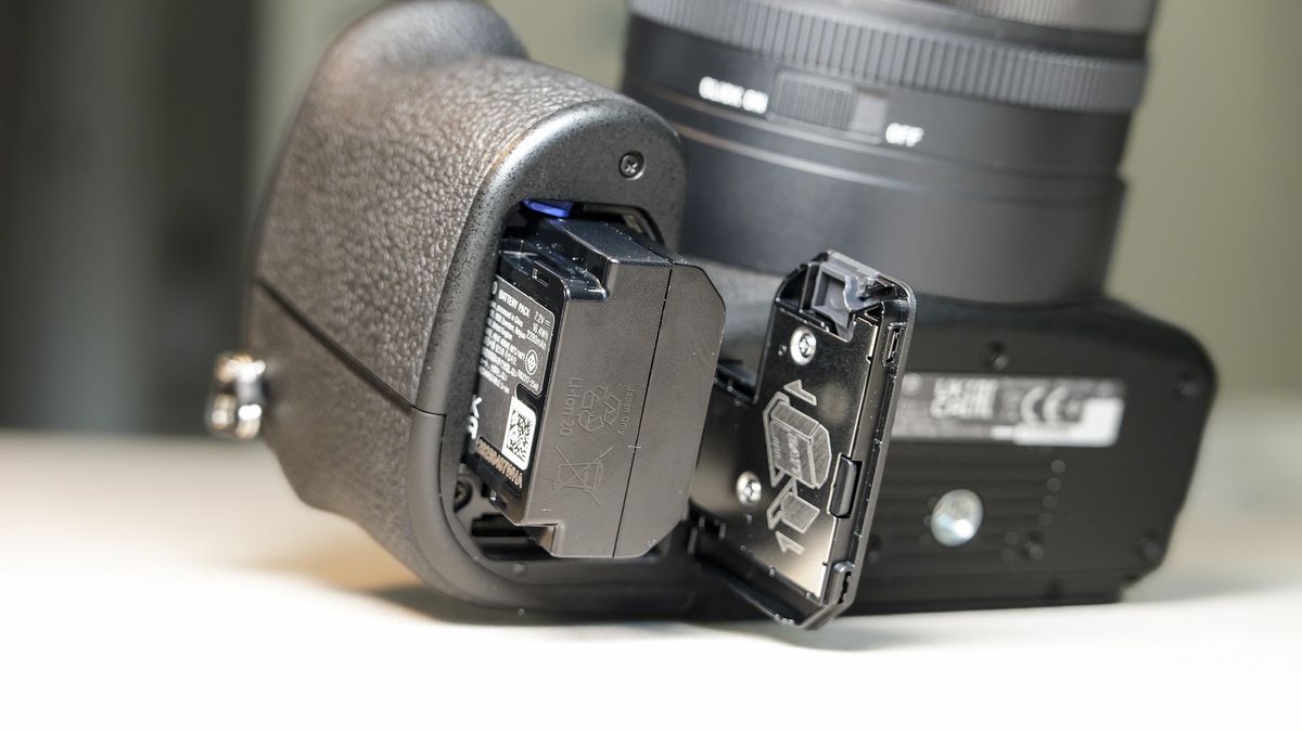 Обзор Sony Cyber-shot RX10 V - неожиданно популярная суперзум-камера картинка Камера Sony RX10 V: тест камеры для фото птиц | DGL.RU