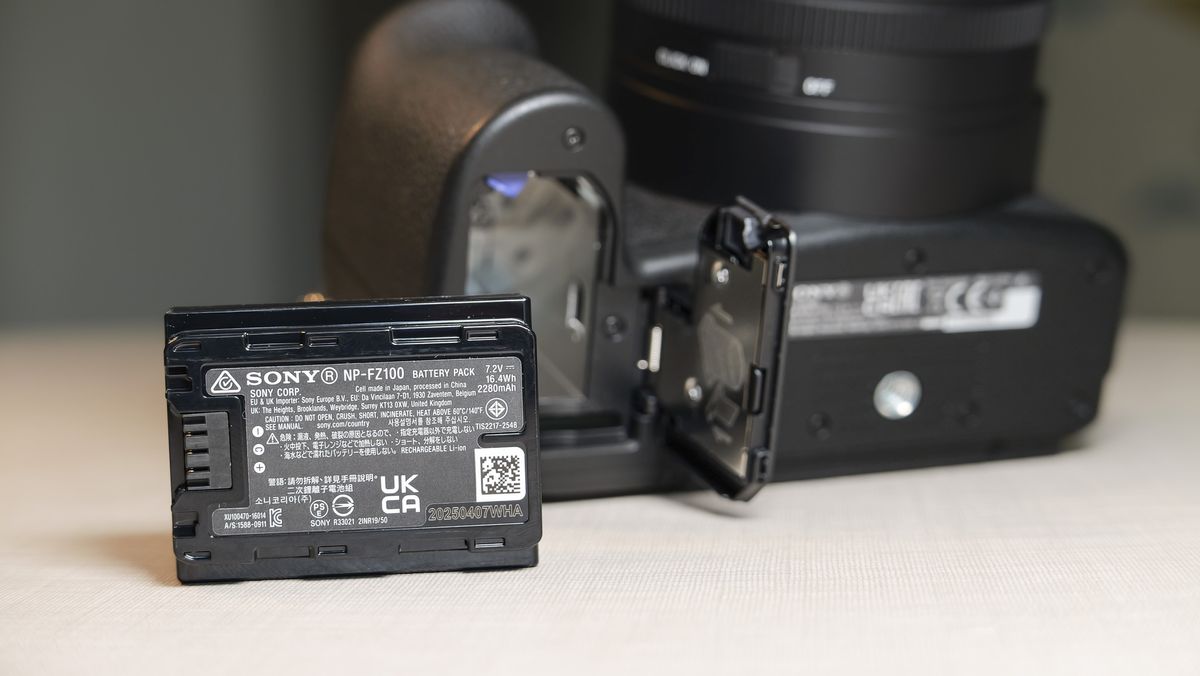 Обзор Sony Cyber-shot RX10 V - неожиданно популярная суперзум-камера картинка Камера Sony RX10 V: тест камеры для фото птиц | DGL.RU