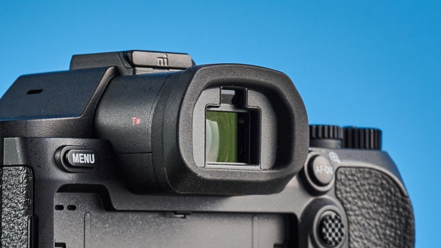 Камера Sony RX10 V: тест камеры для фото птиц | DGL.RU