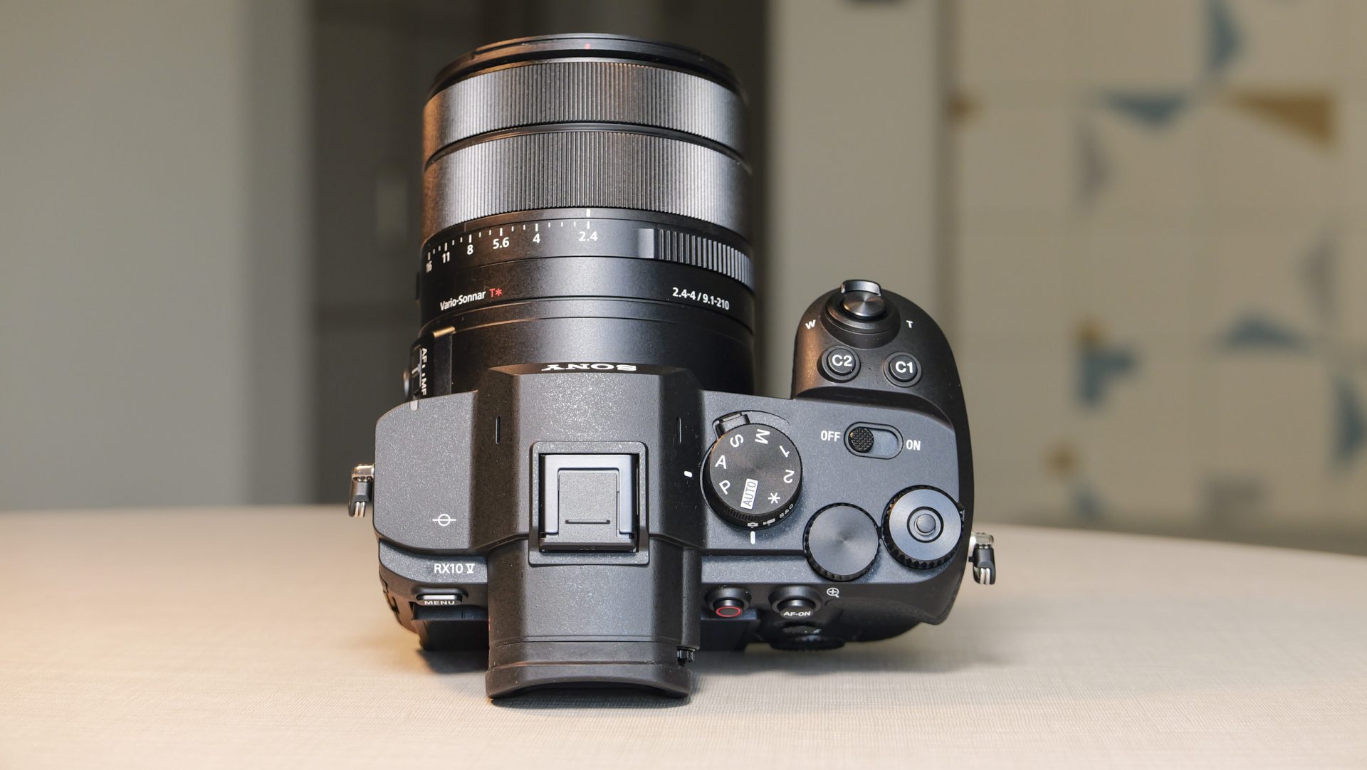 Обзор Sony Cyber-shot RX10 V - неожиданно популярная суперзум-камера картинка Камера Sony RX10 V: тест камеры для фото птиц | DGL.RU
