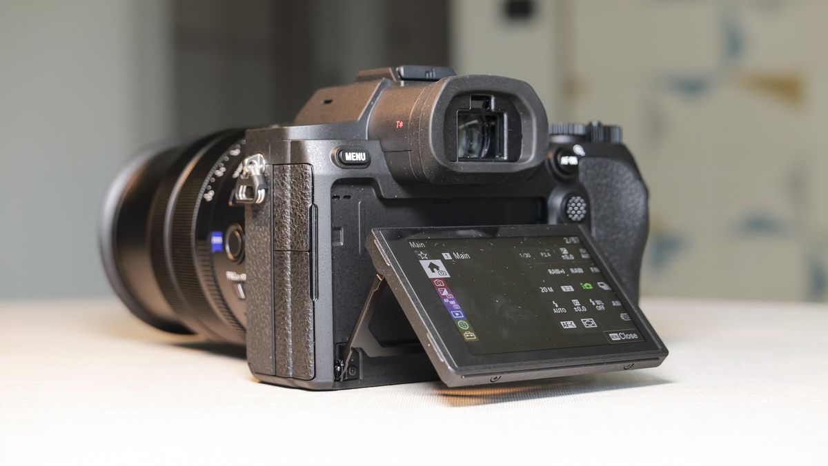 Обзор Sony Cyber-shot RX10 V - неожиданно популярная суперзум-камера картинка Камера Sony RX10 V: тест камеры для фото птиц | DGL.RU
