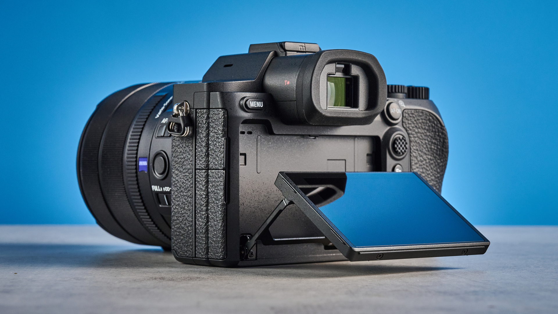Камера Sony RX10 V: тест камеры для фото птиц | DGL.RU
