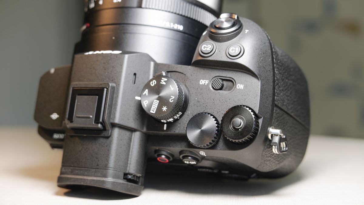 Обзор Sony Cyber-shot RX10 V - неожиданно популярная суперзум-камера картинка Камера Sony RX10 V: тест камеры для фото птиц | DGL.RU