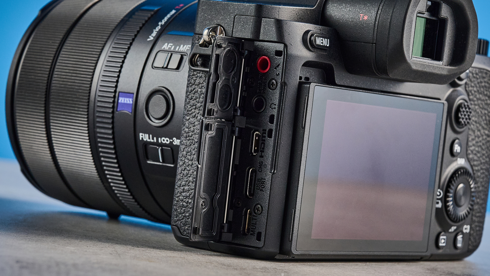 Камера Sony RX10 V: тест камеры для фото птиц | DGL.RU