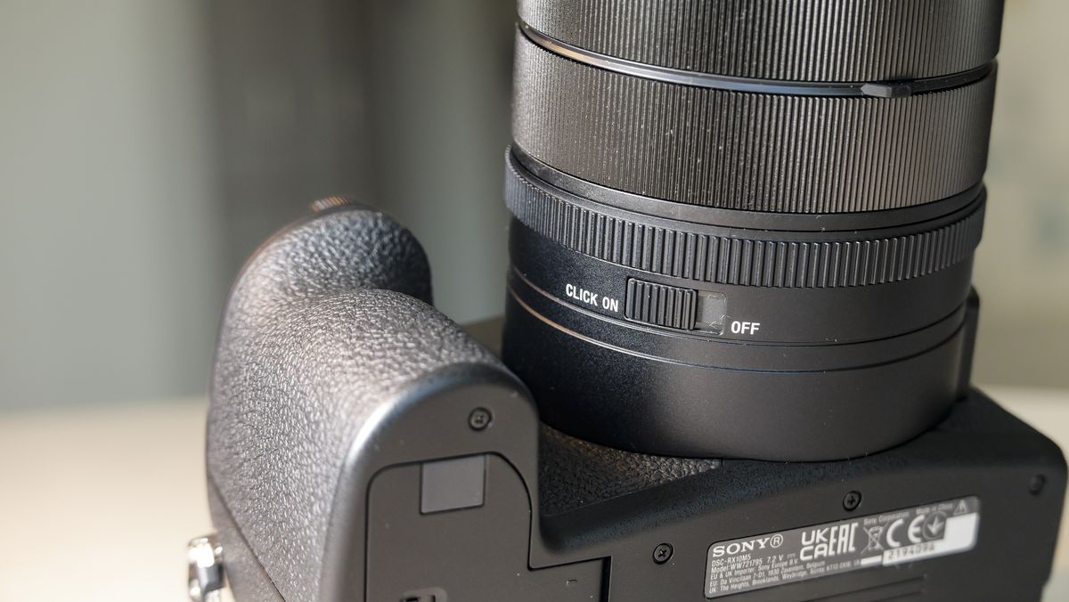 Обзор Sony Cyber-shot RX10 V - неожиданно популярная суперзум-камера картинка Камера Sony RX10 V: тест камеры для фото птиц | DGL.RU