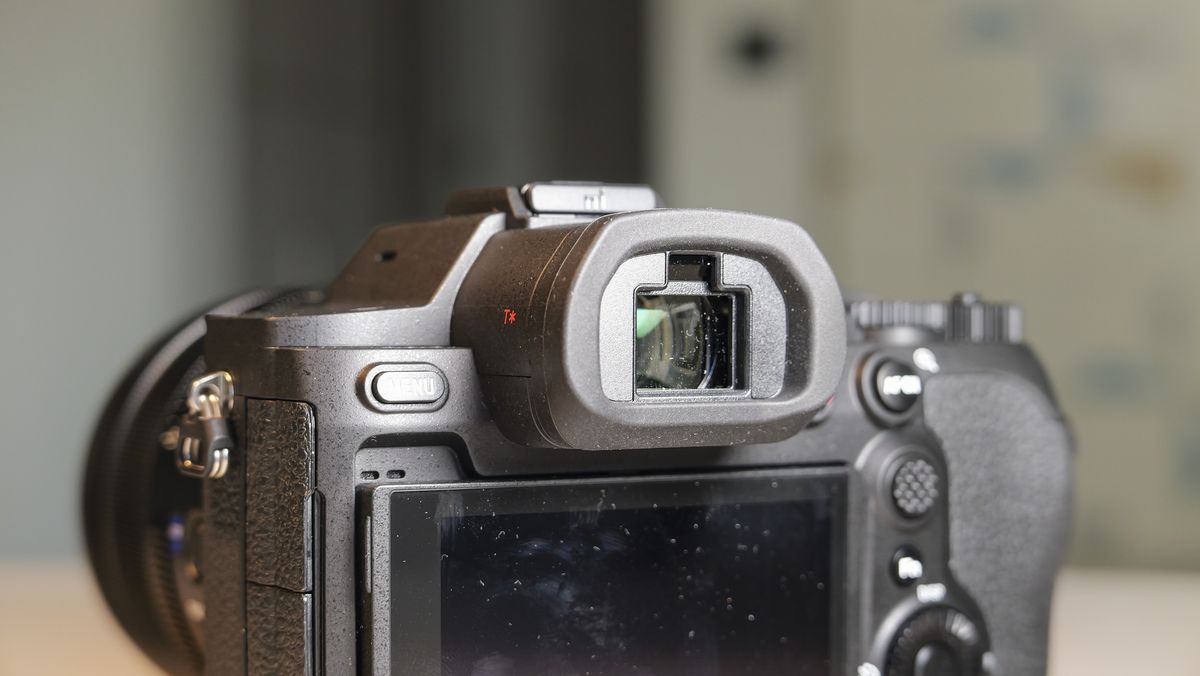 Обзор Sony Cyber-shot RX10 V - неожиданно популярная суперзум-камера картинка Камера Sony RX10 V: тест камеры для фото птиц | DGL.RU