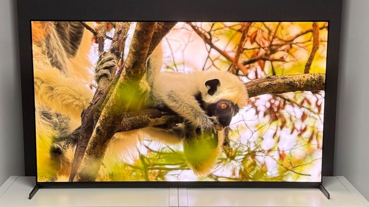 Топ лучших 55-дюймовых телевизоров 2026 года | DGL.RU