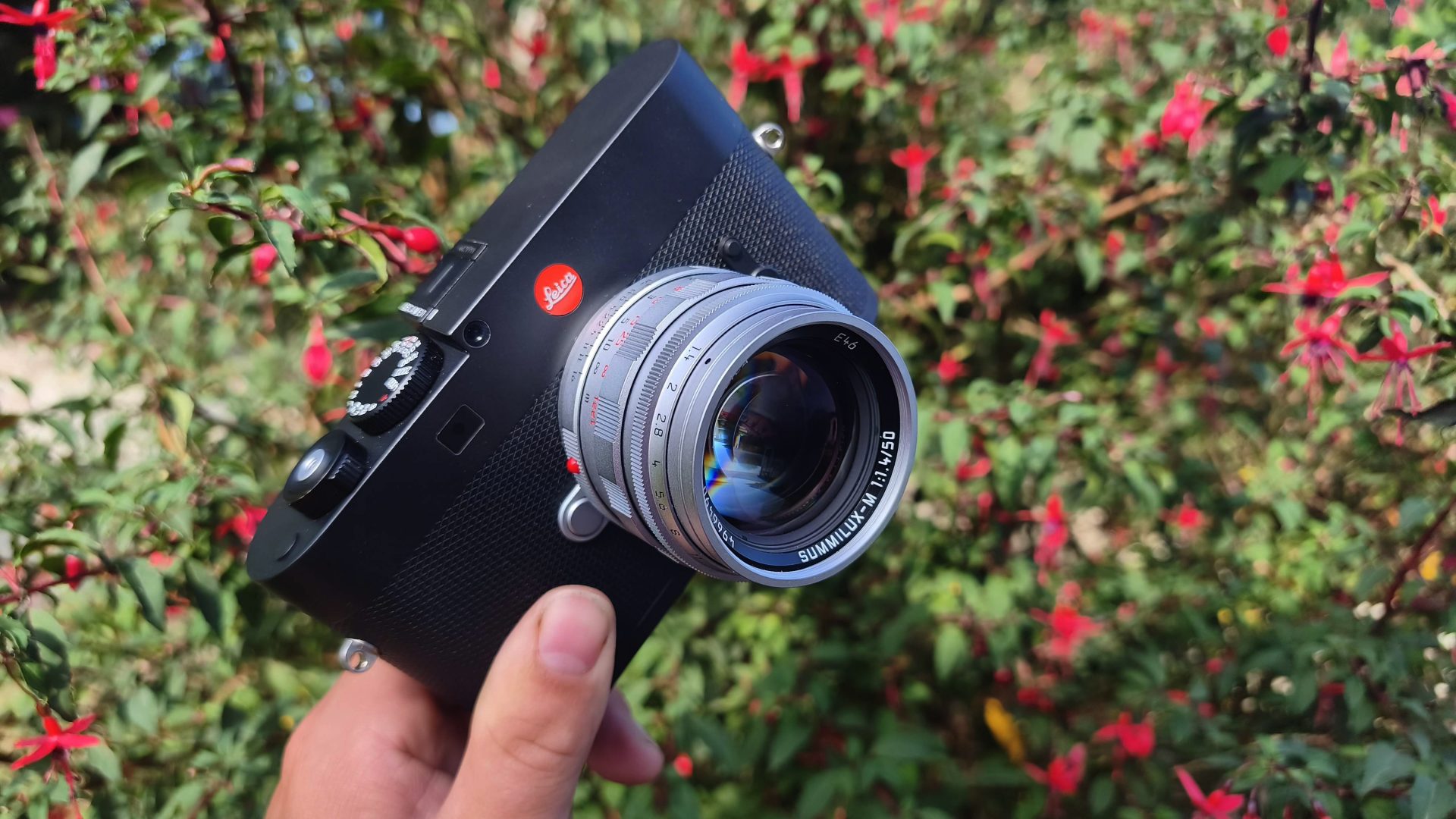 Обзор Leica Summilux-M 50 f/1.4 - классический объектив для современной эпохи картинка Объектив Leica Summilux-M 50 f/1.4: обзор и тест | DGL.RU