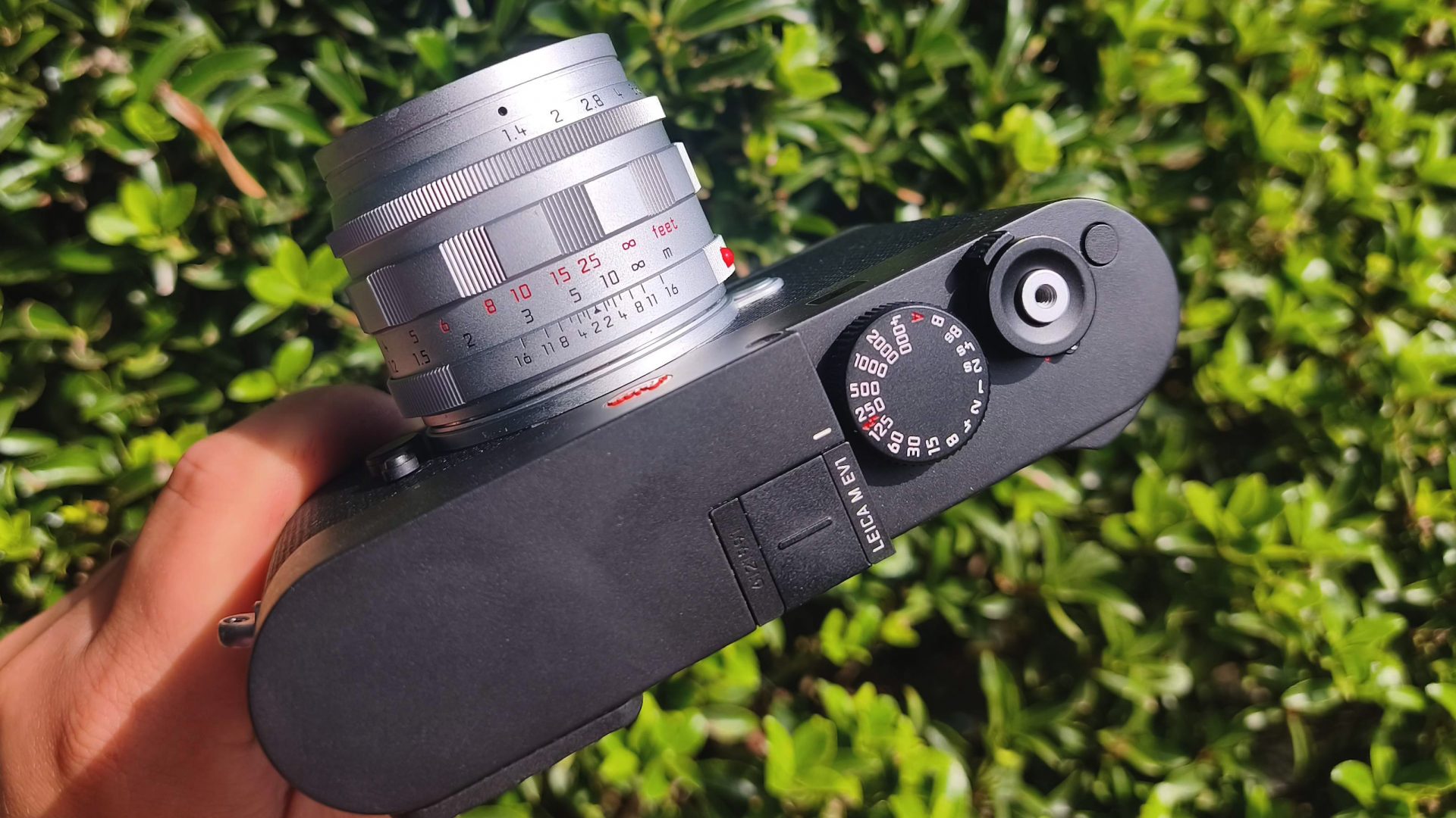 Обзор Leica Summilux-M 50 f/1.4 - классический объектив для современной эпохи картинка Объектив Leica Summilux-M 50 f/1.4: обзор и тест | DGL.RU