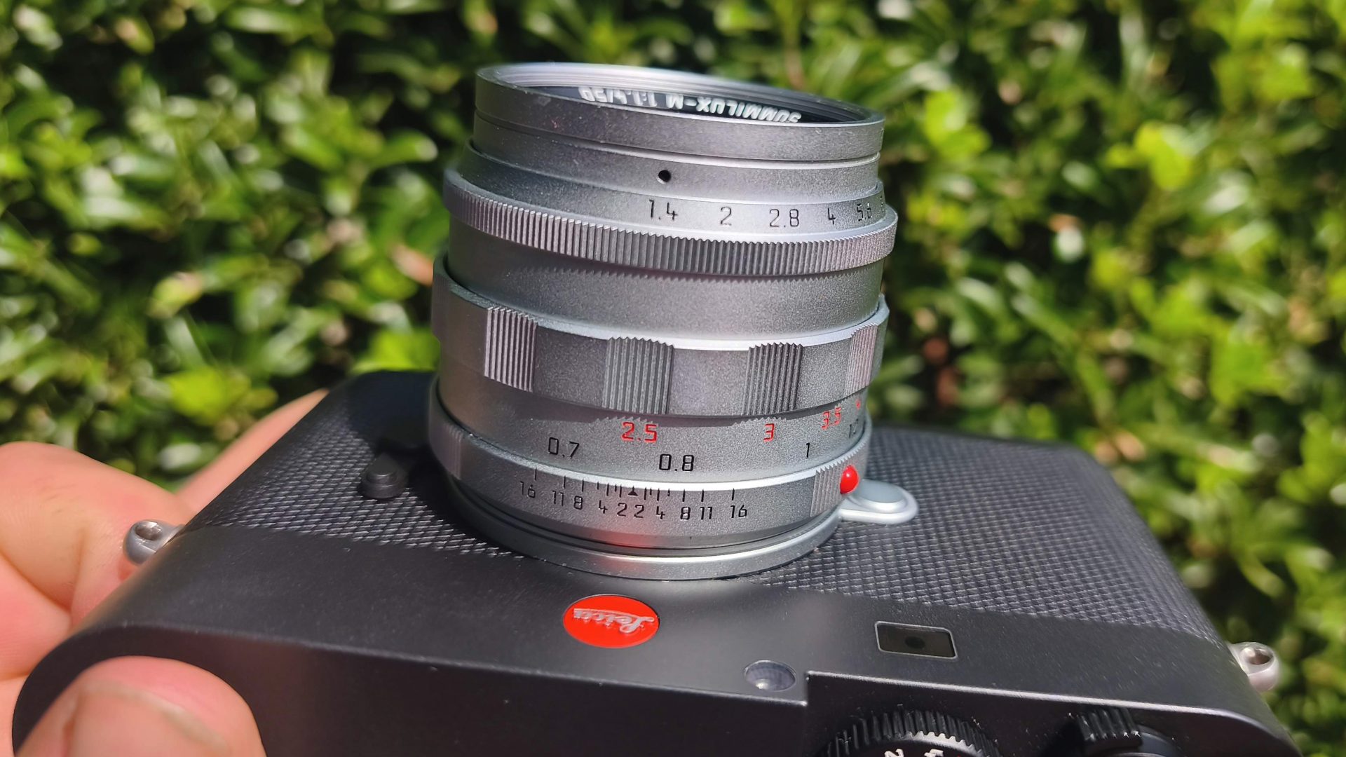 Обзор Leica Summilux-M 50 f/1.4 - классический объектив для современной эпохи картинка Объектив Leica Summilux-M 50 f/1.4: обзор и тест | DGL.RU