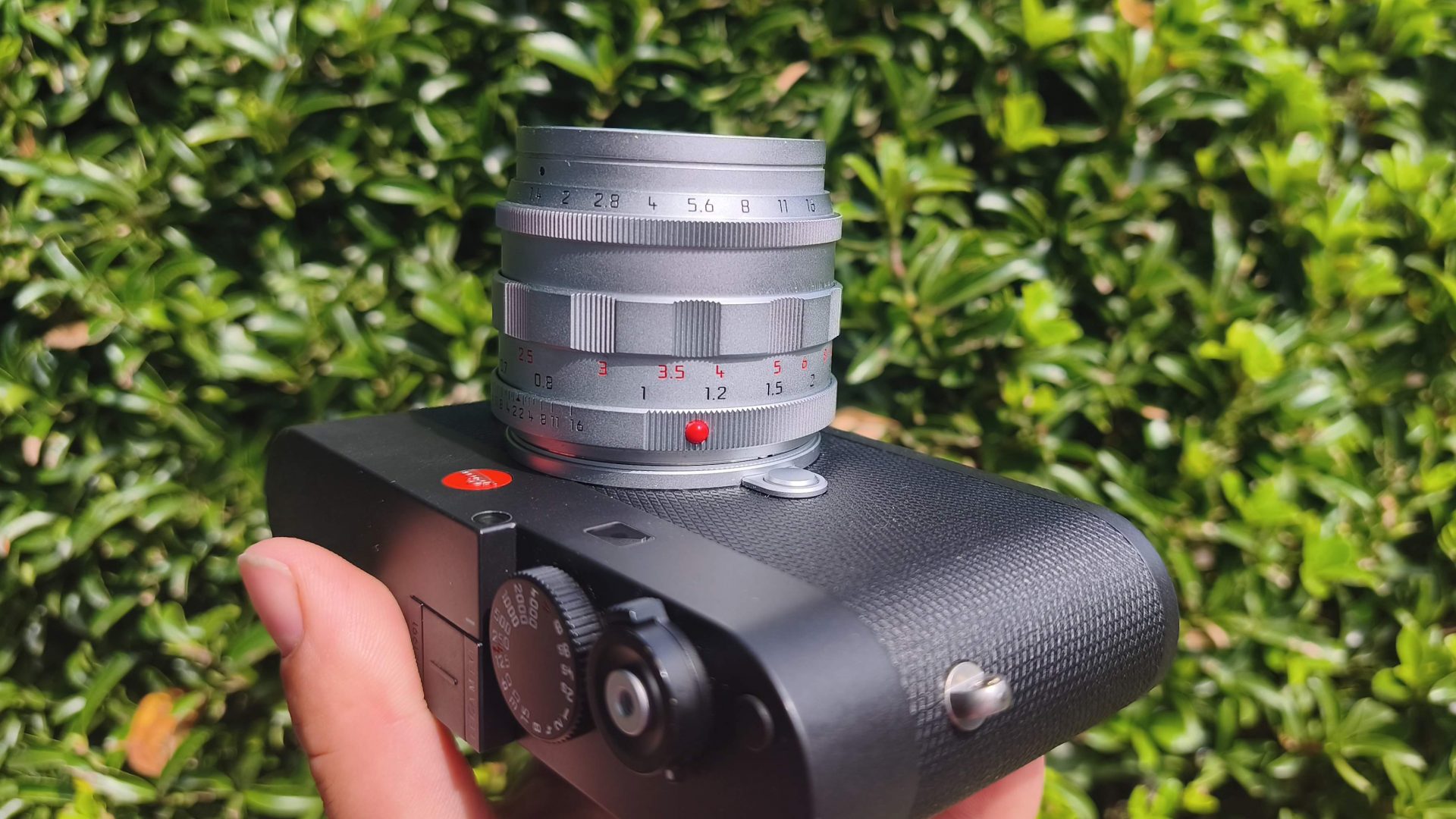 Обзор Leica Summilux-M 50 f/1.4 - классический объектив для современной эпохи картинка Объектив Leica Summilux-M 50 f/1.4: обзор и тест | DGL.RU