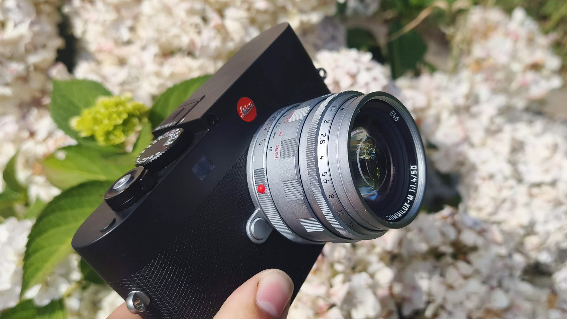 Обзор Leica Summilux-M 50 f/1.4 - классический объектив для современной эпохи картинка Объектив Leica Summilux-M 50 f/1.4: обзор и тест | DGL.RU
