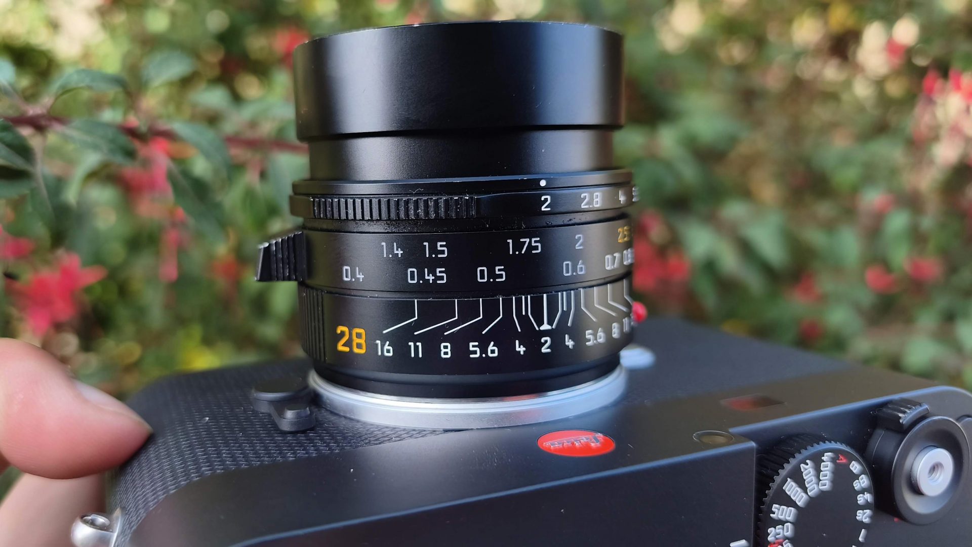 Лучшие объективы Leica M в 2026 году: гид по актуальной оптике картинка Объектив Leica Summilux-M 50mm f/1.4: тест 2026 | DGL.RU