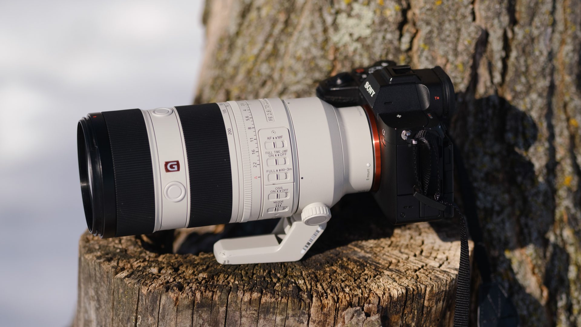 Лучшие объективы для Sony A7R V, A7R IV и A7R III в 2026 году: первоклассная оптика для максимального разрешения картинка Объективы для Sony A7R: что выбрать в 2026 году | DGL.RU