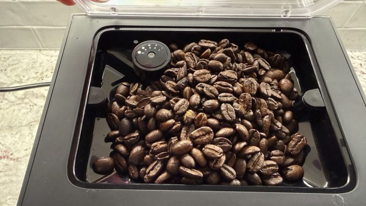 Кофемашина Terra Kaffe Demi: плюсы и минусы | DGL.RU