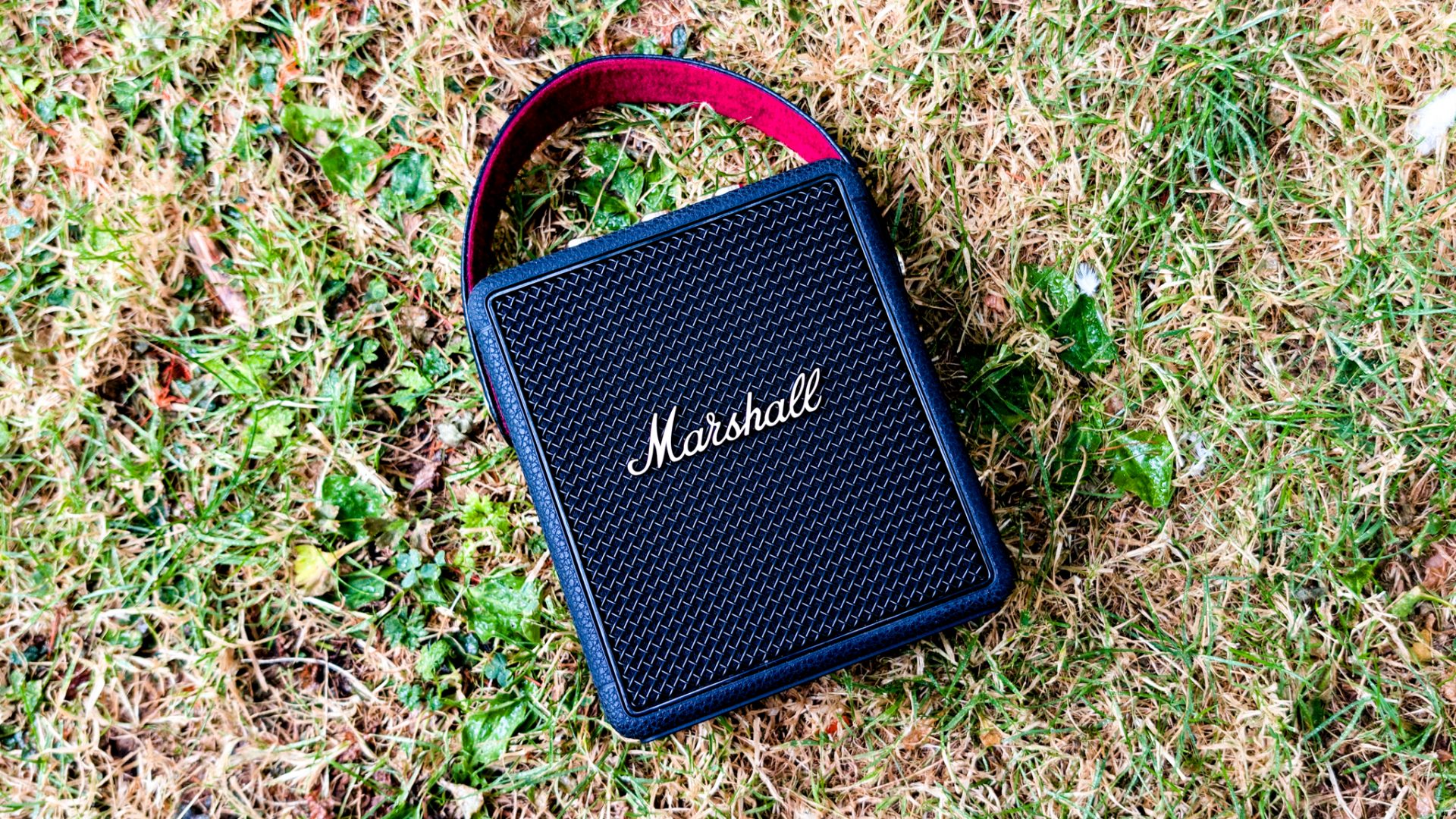Обзор портативной колонки Marshall Stockwell III: дизайн, звук и автономность картинка Обзор Marshall Stockwell III: тесты звука | DGL.RU