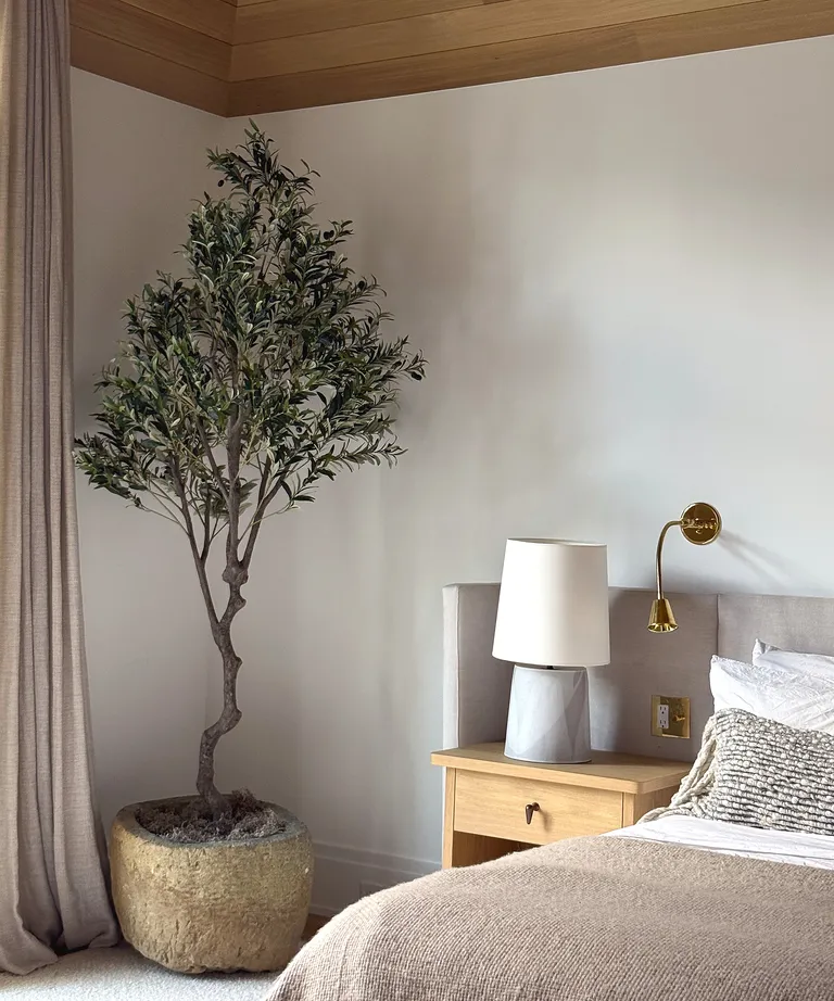Единственное комнатное растение, которое мгновенно придает помещению ощущение дороговизны, говорят дизайнеры картинка Оливковое дерево для уютного и стильного интерьера