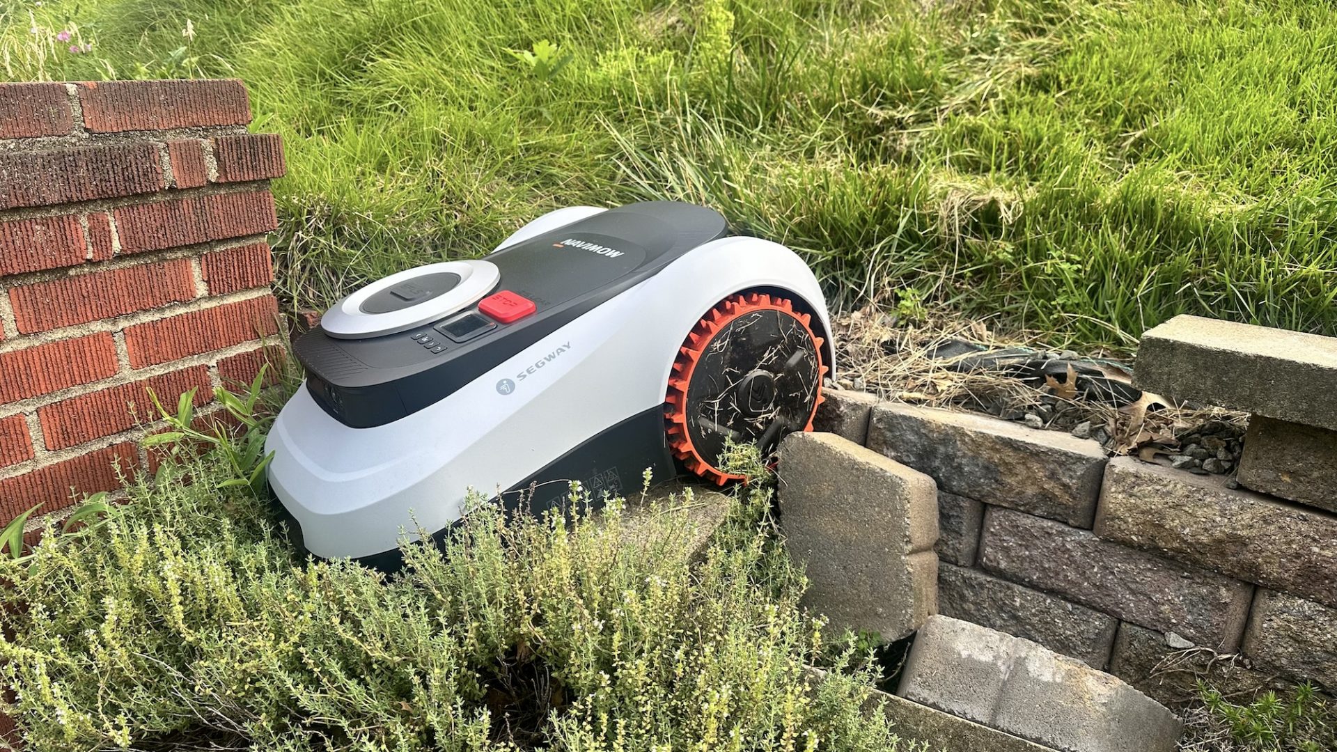Обзор Segway Navimow i215 - хорошо подстригла мой газон картинка Газонокосилка Segway Navimow i215: цена и тест | DGL.RU