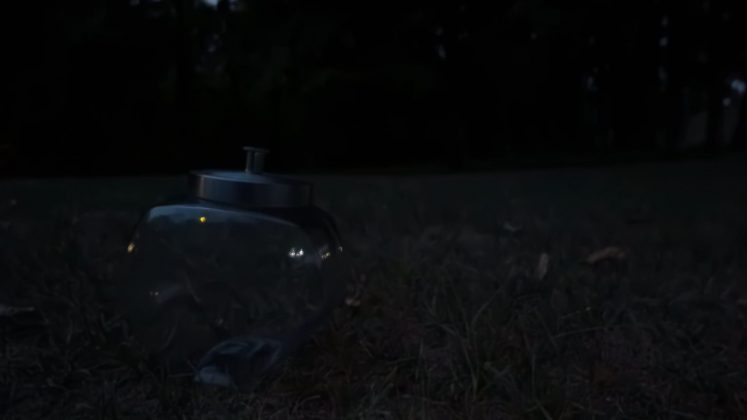 Камера GoPro Mission 1 Pro ILS: тест для видео | DGL.RU