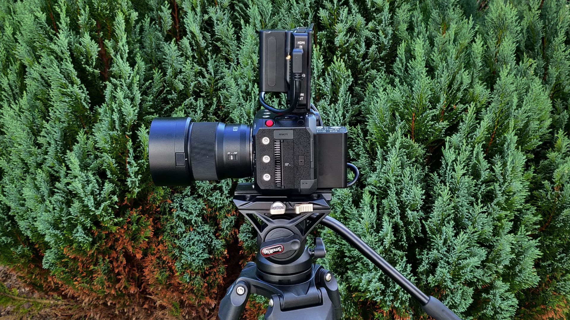 Камера Nikon Z9: модели 8K и 6K для видео 2026 | DGL.RU